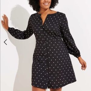 NWT Polka Dot Flare Shirtdress (24)